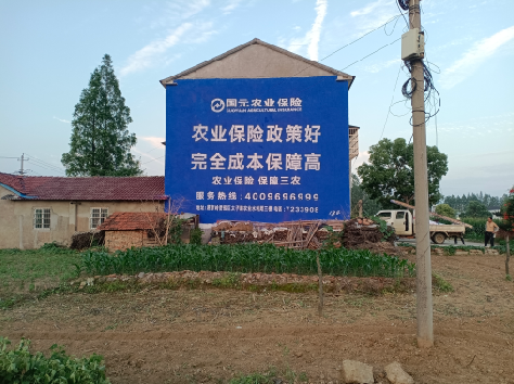 澜沧墙体广告为何受追捧？